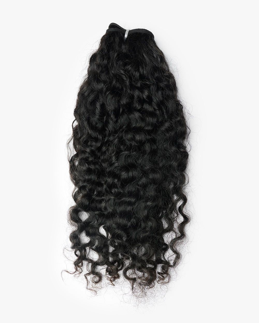 Burmese Curly – Exotic & Voluminous