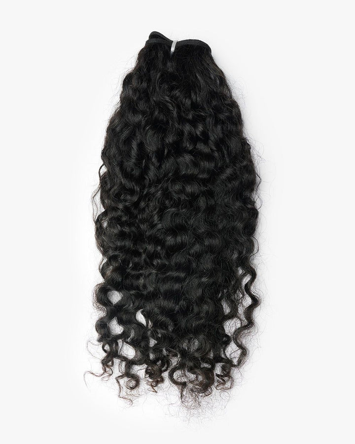 Burmese Curly – Exotic & Voluminous